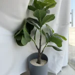 درختچه لیراتا ۳ شاخه