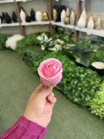 سرگل رز باکارا - تصویر 3
