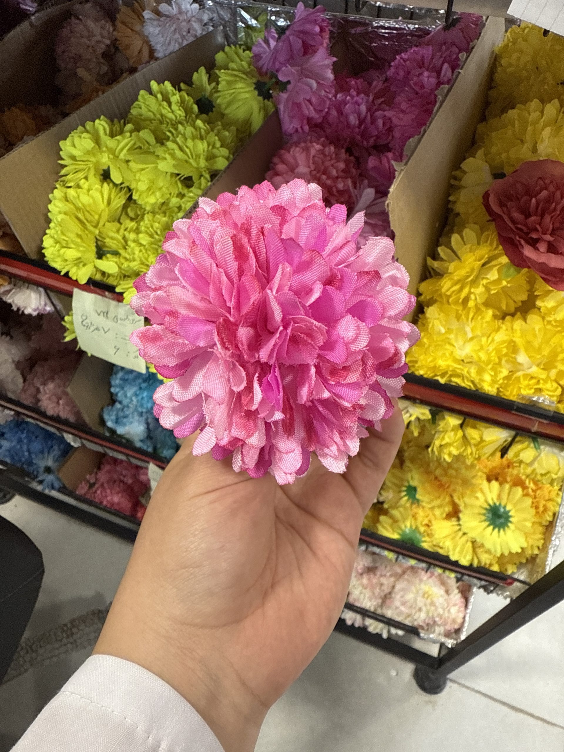 image سر گل داوودي - تصویر 1