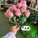 بوته رز 12 گل باکارا - تصویر 4