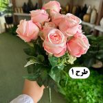 بوته رز 12 گل باکارا - تصویر 2