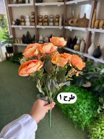 بوته نسترن - تصویر 2