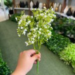 بوته شکوفه عروس