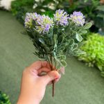 بوته قاصدک 5 گل - تصویر 3