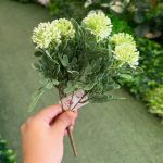بوته قاصدک 5 گل
