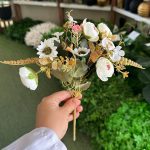 بوته نسترن