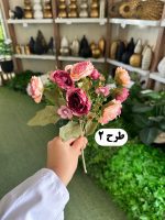 بوته پیونی - تصویر 3