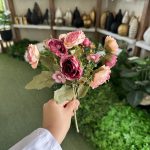 بوته پیونی