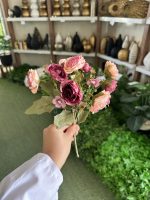 بوته پیونی