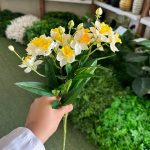 بوته نرگس لمسی - تصویر 2