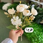 بوته نسترن - تصویر 2