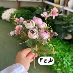 بوته نسترن - تصویر 4