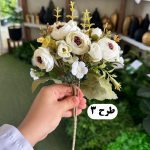 بوته نسترن - تصویر 4