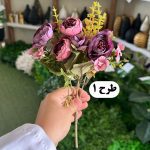 بوته نسترن - تصویر 2