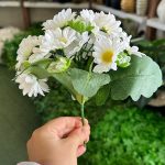بوته مینا