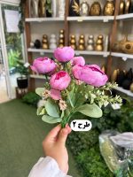 بوته نسترن ژولیت - تصویر 4