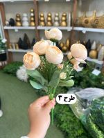 بوته نسترن ژولیت - تصویر 3