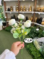 بوته نسترن ژولیت - تصویر 2