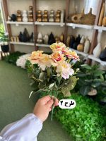 بوته رز - تصویر 4