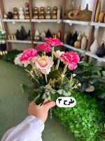 بوته رز - تصویر 2