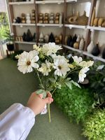 بوته مینا - تصویر 3