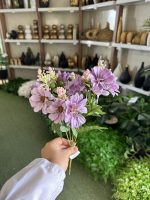 بوته مینا - تصویر 2