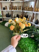 بوته میخک - تصویر 4