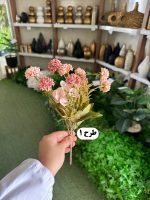 بوته میخک - تصویر 3