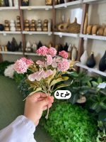 بوته میخک - تصویر 2