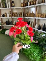 بوته گل همیشه‌ بهار - تصویر 4