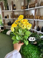 بوته گل همیشه‌ بهار - تصویر 2