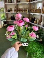 بوته نسترن شاخه بلند - تصویر 3