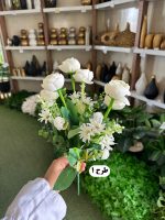 بوته نسترن شاخه بلند - تصویر 2