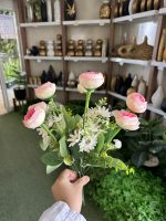 بوته نسترن شاخه بلند