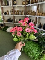 بوته گل همیشه‌ بهار