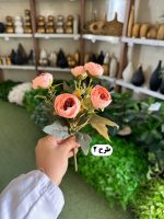 بوته نسترن - تصویر 3