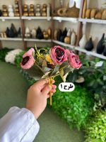بوته نسترن - تصویر 2