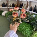 بوته نسترن