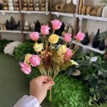 بوته رز مینیاتوری