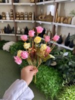 بوته رز مینیاتوری