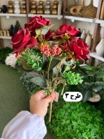 بوته رز 6 گل - تصویر 3