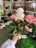 بوته رز 6 گل - تصویر 2