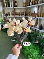 بوته آلستر - تصویر 3