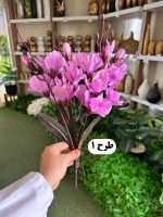 بوته آلستر - تصویر 2