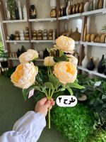 بوته پیونی - تصویر 4