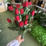 بوته رز مخمل لب مشکی 24 گل