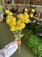 شکوفه 7 بازو - تصویر 4