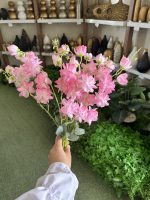 شکوفه 7 بازو - تصویر 2