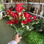 بوته اسپاتی 18 گل