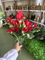 بوته اسپاتی 18 گل